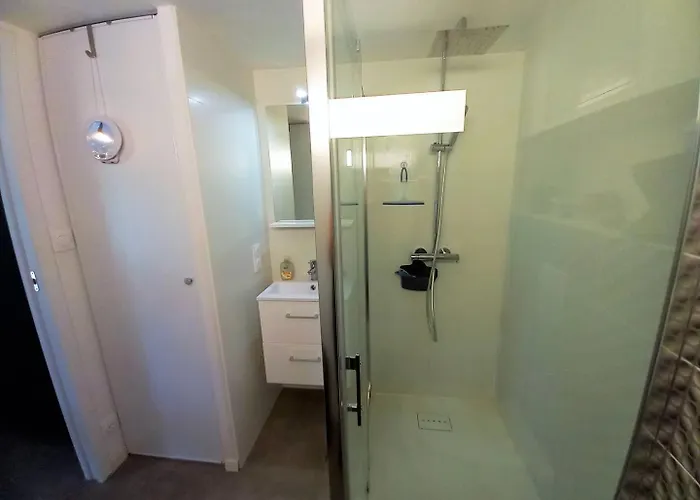 Palais Sur - Mitoyenne - Hauts De St Palais - Piscine