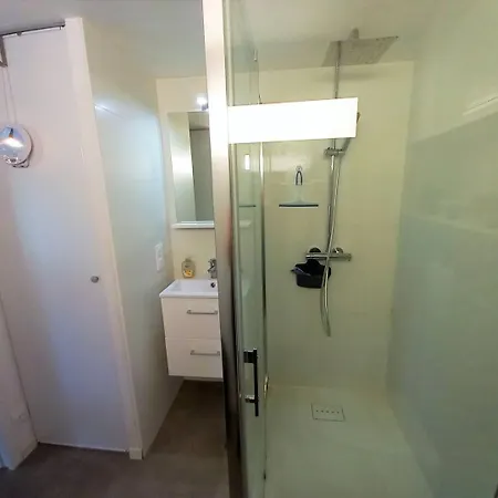 Palais Sur - Mitoyenne - Hauts De St Palais - Piscine