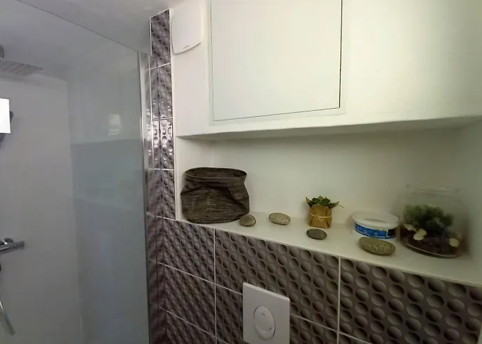 Palais Sur - Mitoyenne - Hauts De St Palais - Piscine *